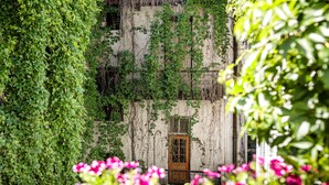 A building partially covered by green vines, with a wooden door and a white wall. - Platinia Apartments (Kraków)