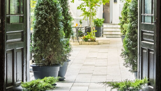 An arched doorway with potted plants, a staircase, and a view of a building in the background. - Platinia Apartments (Kraków)