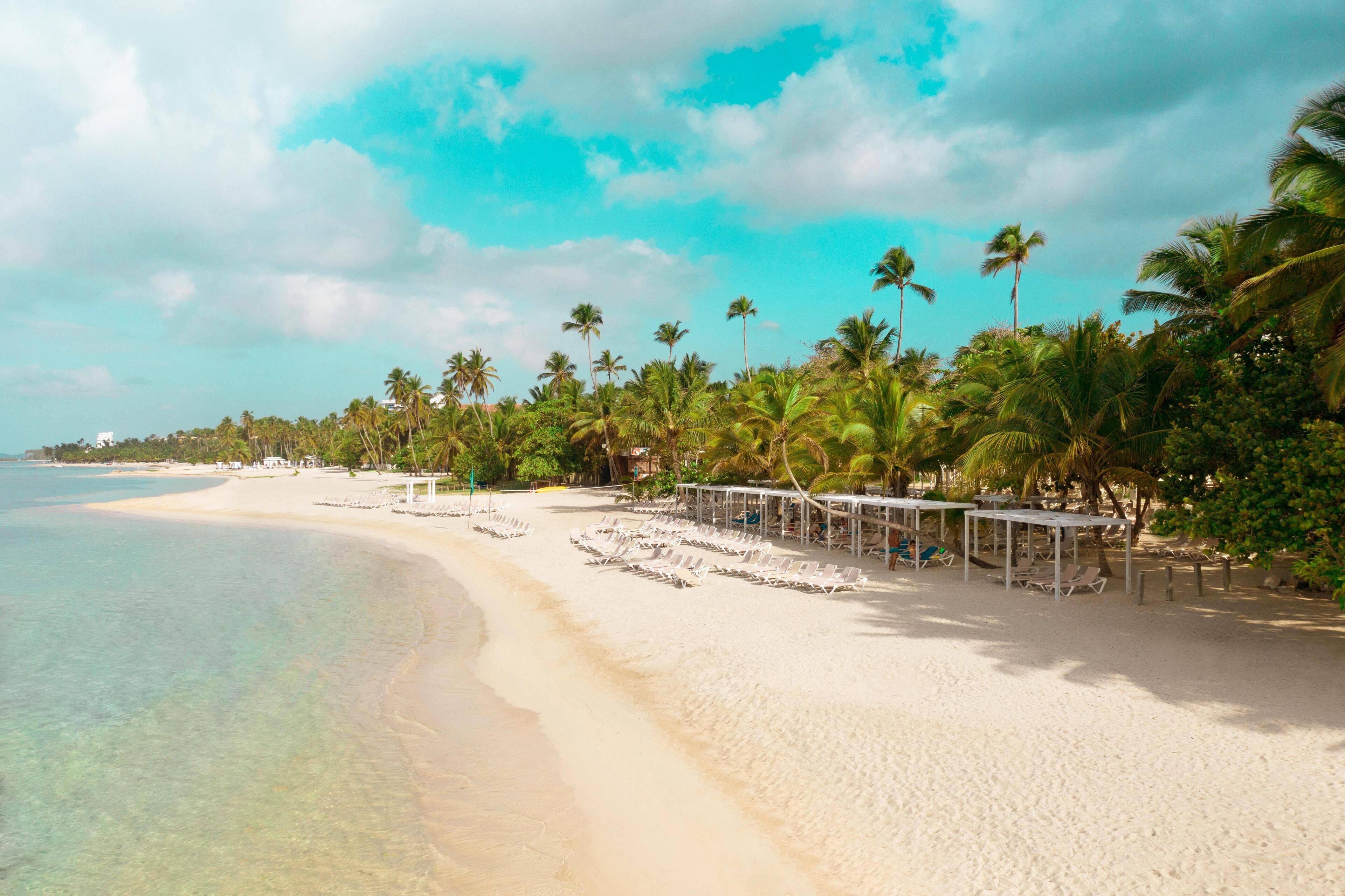 A beach with white sand, palm trees, and clear blue water.