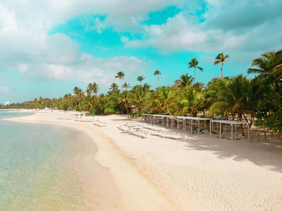 Uma praia com areia branca, palmeiras e águas azul-claras.
