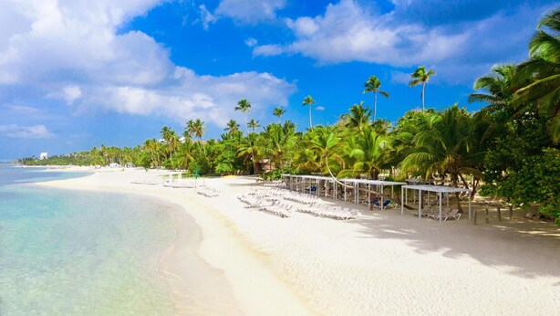 A beach with white sand, clear turquoise water, and palm trees. There are sun loungers and umbrellas under a covered area.