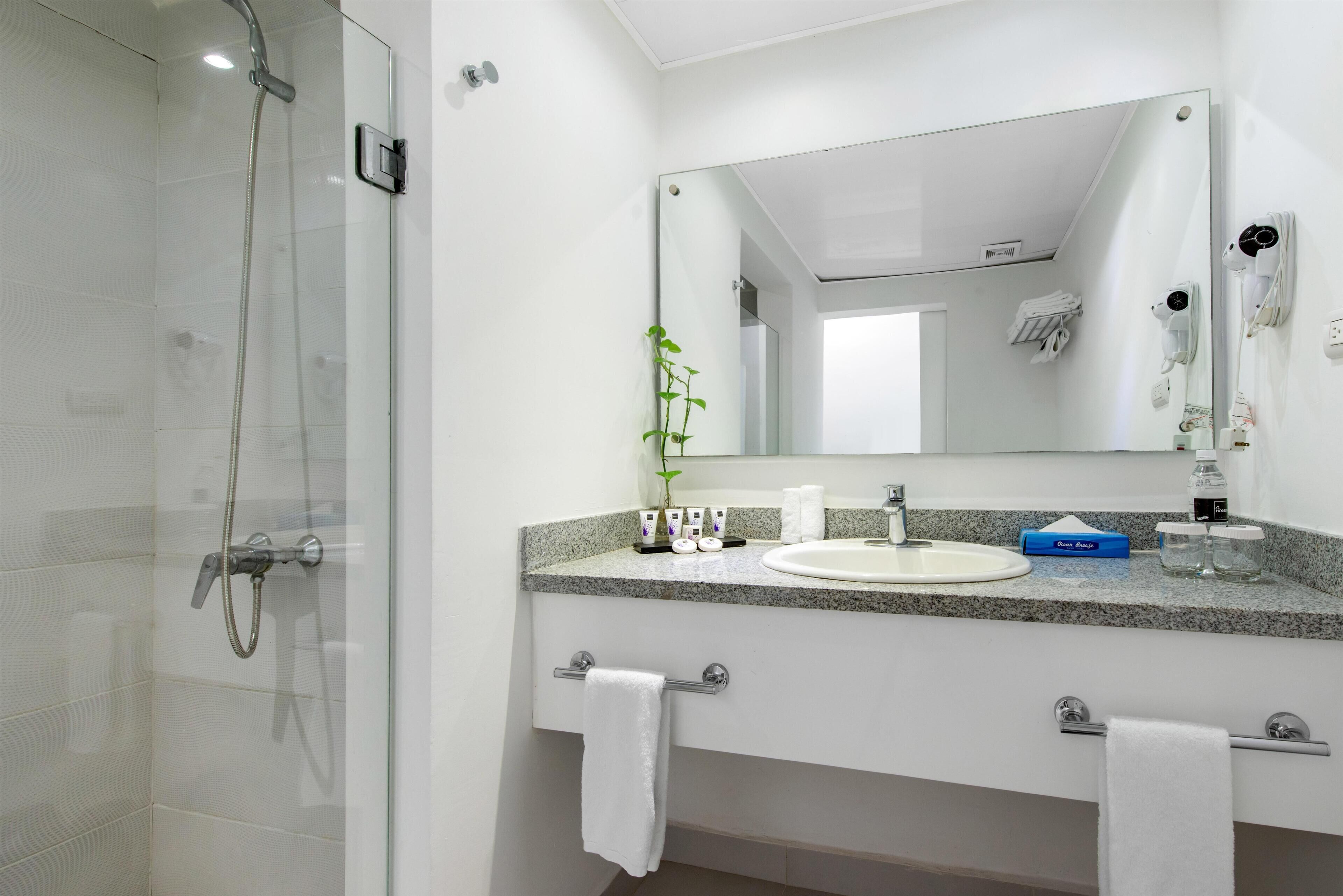 Une salle de bain moderne avec une douche à parois de verre, un lavabo sur un plan de travail en granit et un grand miroir.
