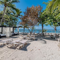 Private beach, sun-loungers, beach towels, scuba diving