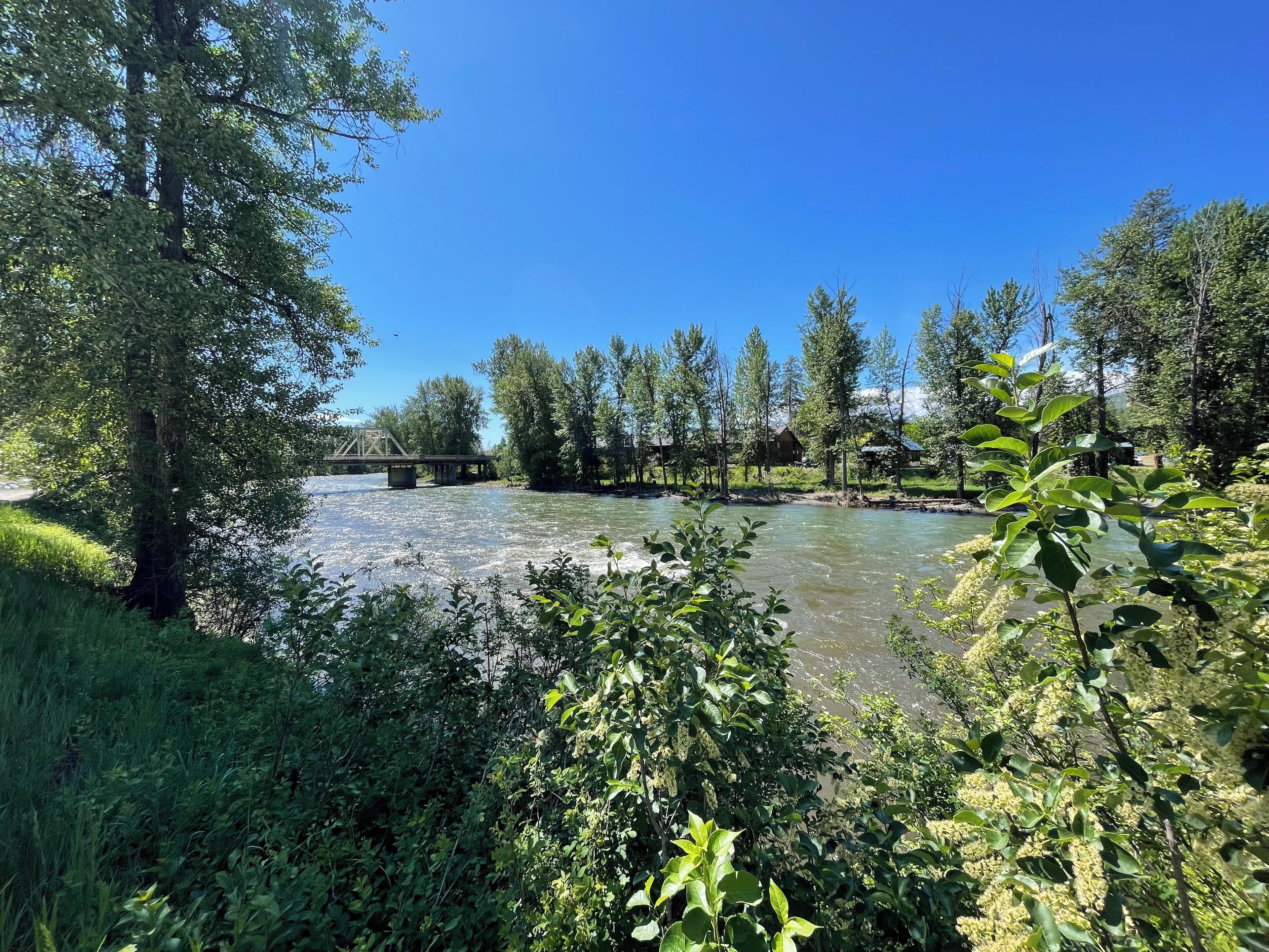 Ein Fluss mit einer Brücke, umgeben von Grün und Bäumen.