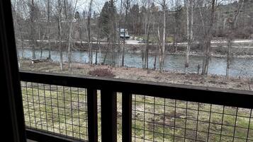 A view through a window with a metal grid, overlooking a river with trees and a distant building.