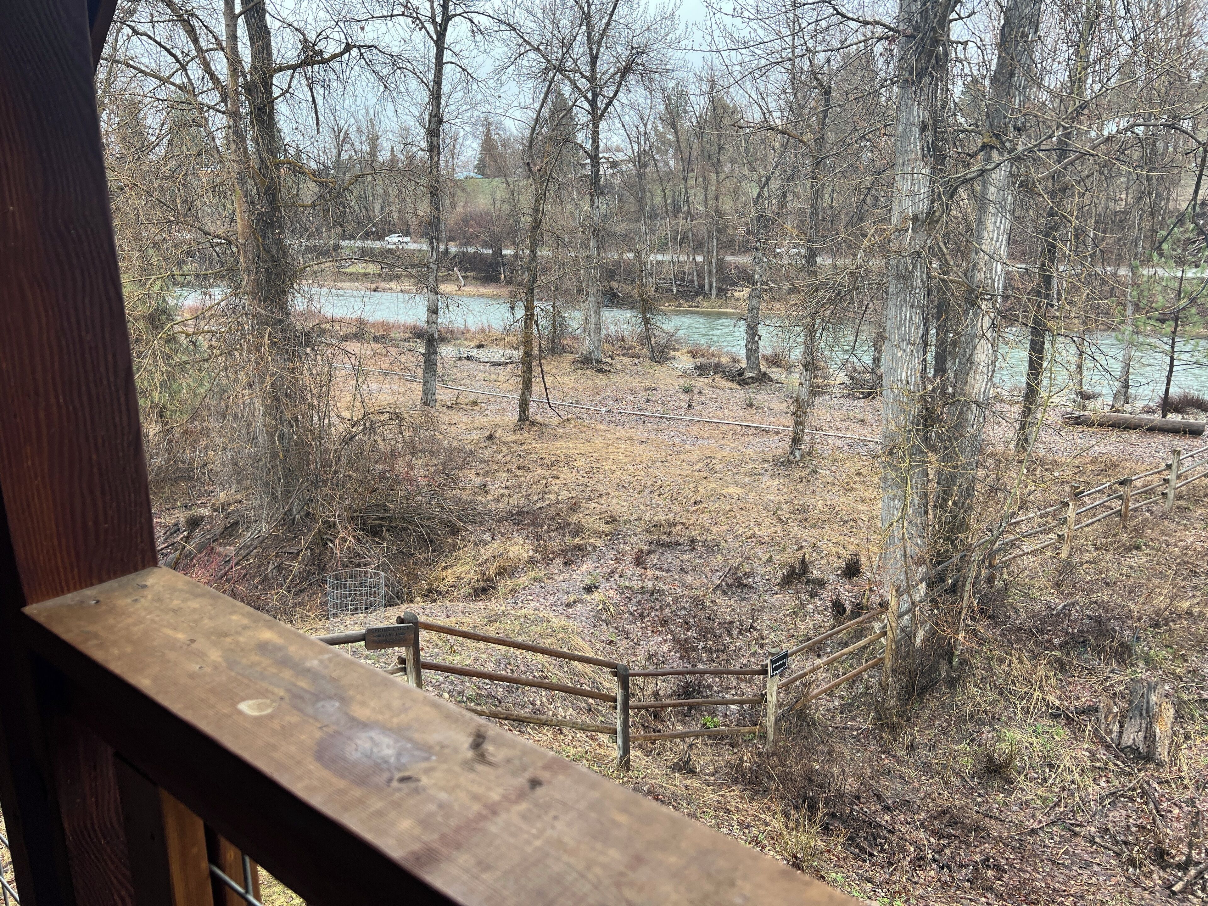 Une vue depuis une terrasse en bois donnant sur une zone boisée, avec une rivière et une clôture en bois.