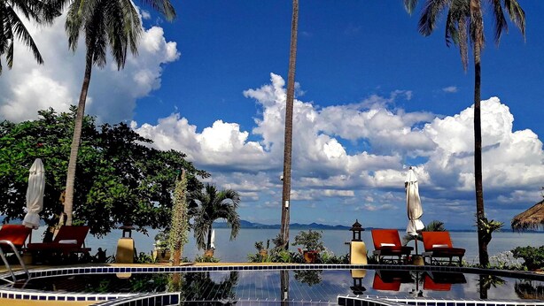 Una piscina con borde de azulejos, rodeada de palmeras y sillones de descanso, con vistas al mar y montañas al fondo.