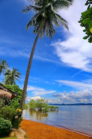 Vue depuis l’hébergement