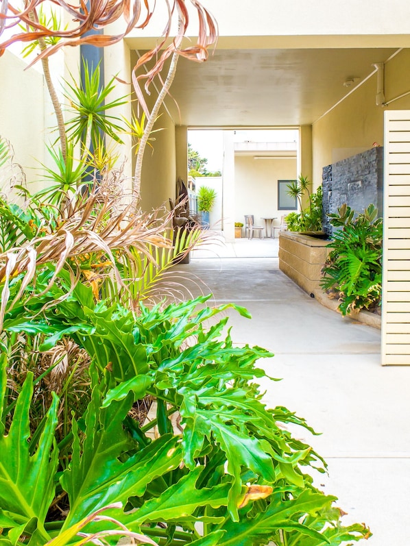A corridor with a concrete floor, surrounded by various plants and a stone wall.