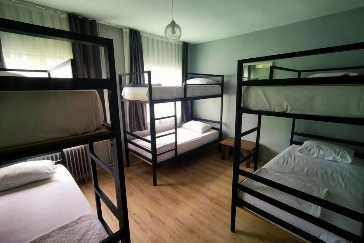A dormitory room with bunk beds, a window with curtains, a hanging light fixture, and a radiator.