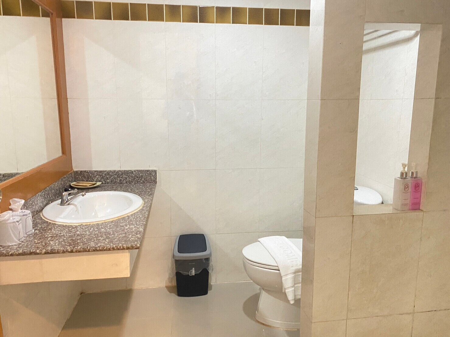 superior double room | bathroom | shower, free toiletries, hair dryer, slippers