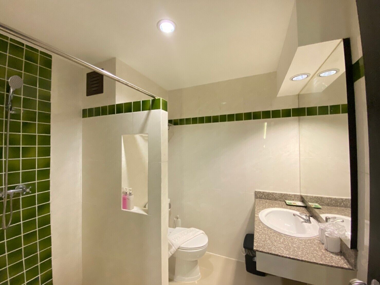 deluxe twin room | bathroom | shower, free toiletries, hair dryer, slippers