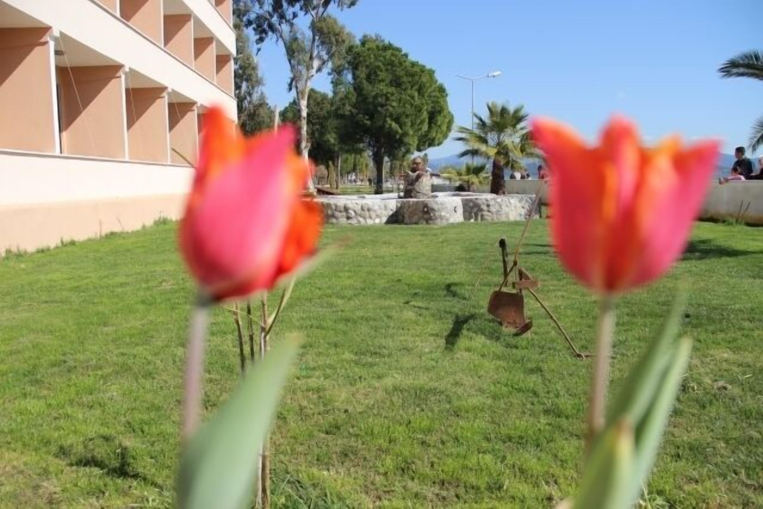Une zone herbeuse avec une statue en arrière-plan et un bâtiment au design moderne.