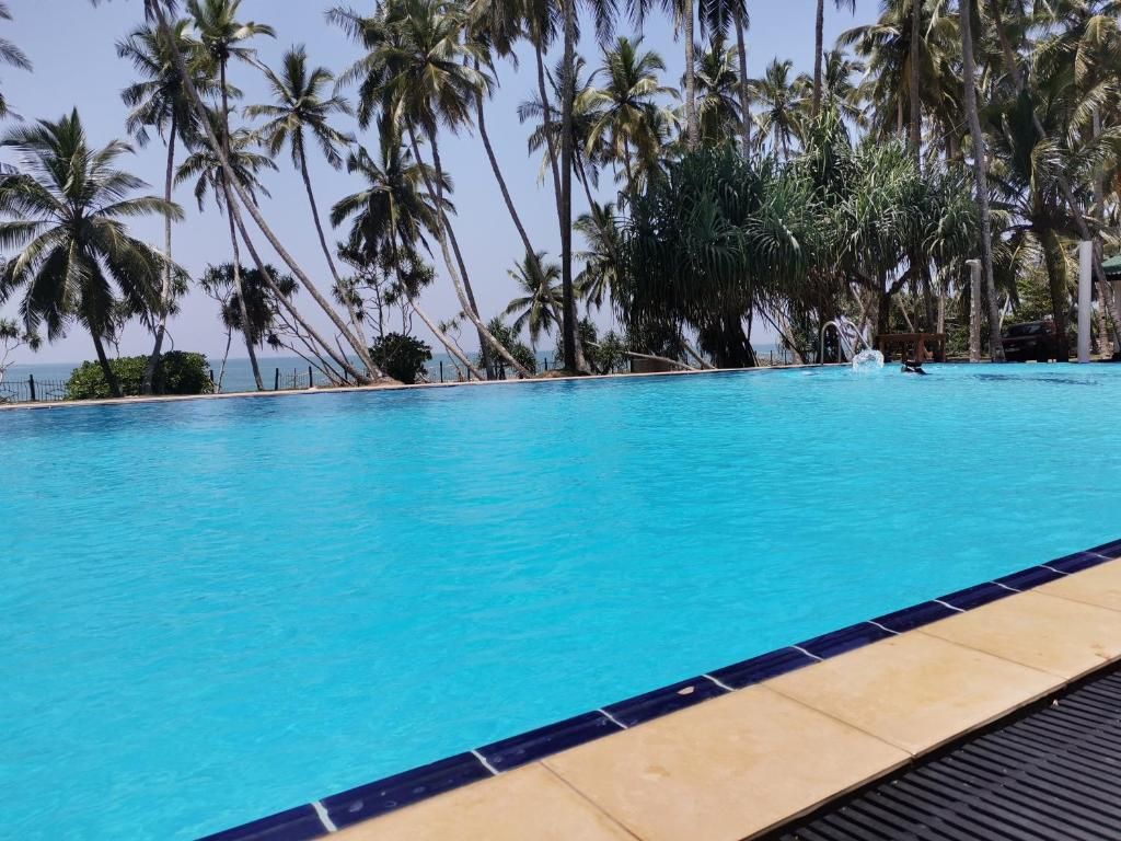 Una piscina con agua azul cristalina, rodeada de palmeras, y un suelo de baldosas al frente.