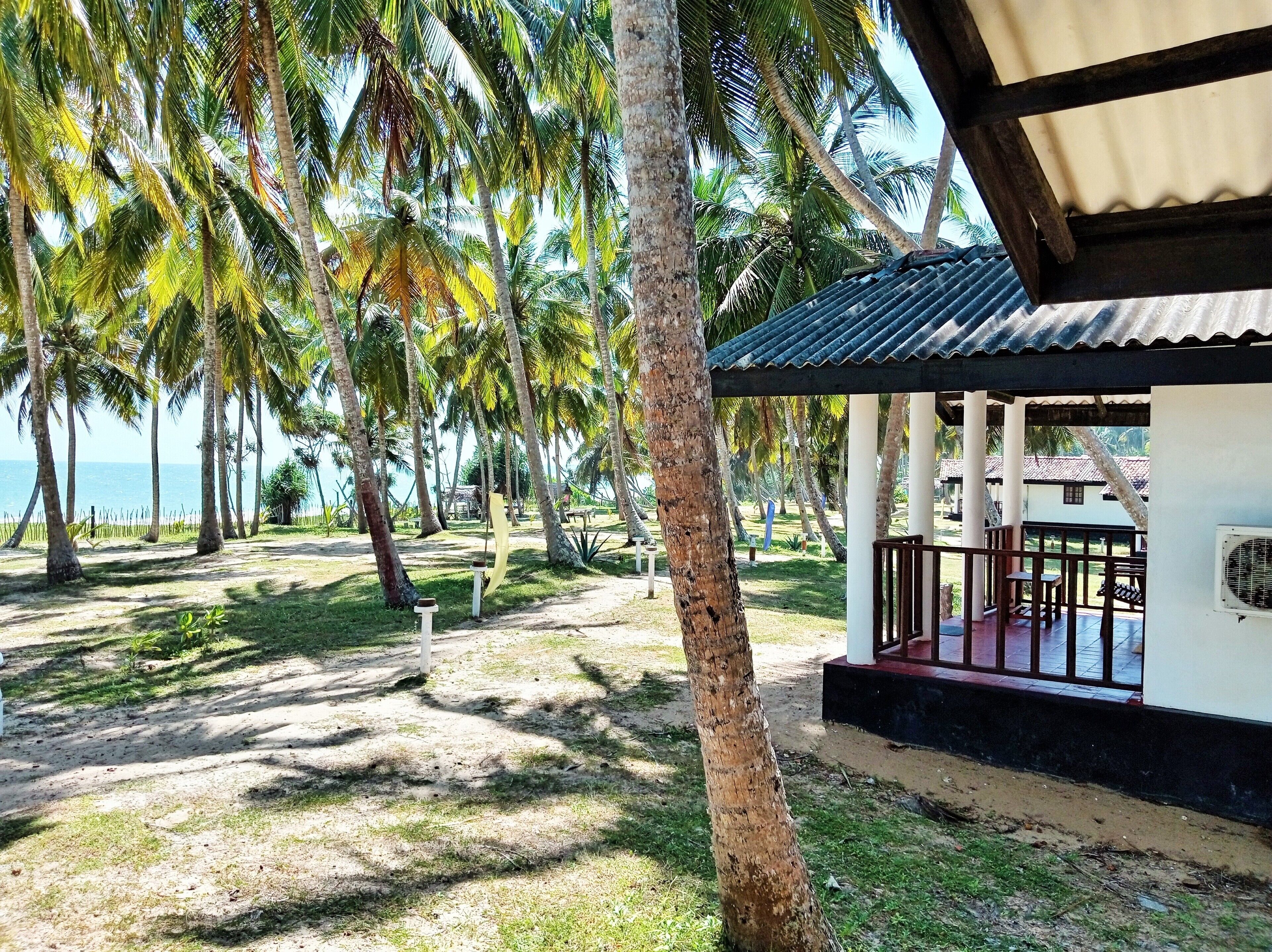 1 phòng ngủ, bộ đồ giường cao cấp, trang trí khác biệt 