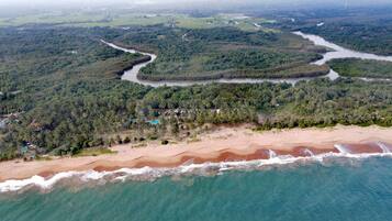 Experience serene coastal bliss with gentle waves and a tranquil river flowing through a lush forest.