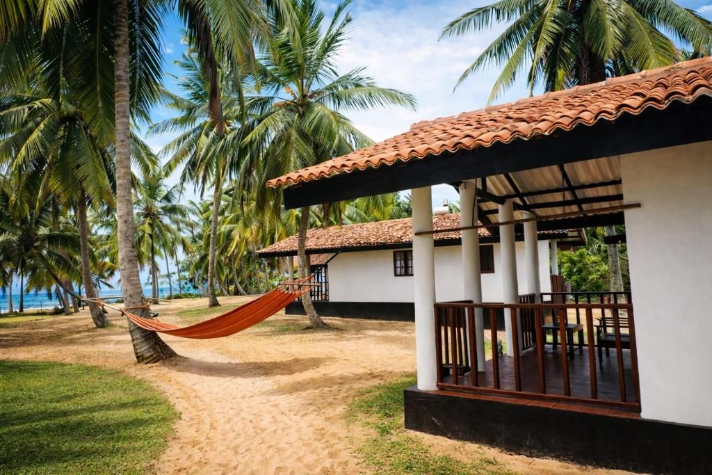 A beachfront property with a hammock, palm trees, and a tiled-roof building.