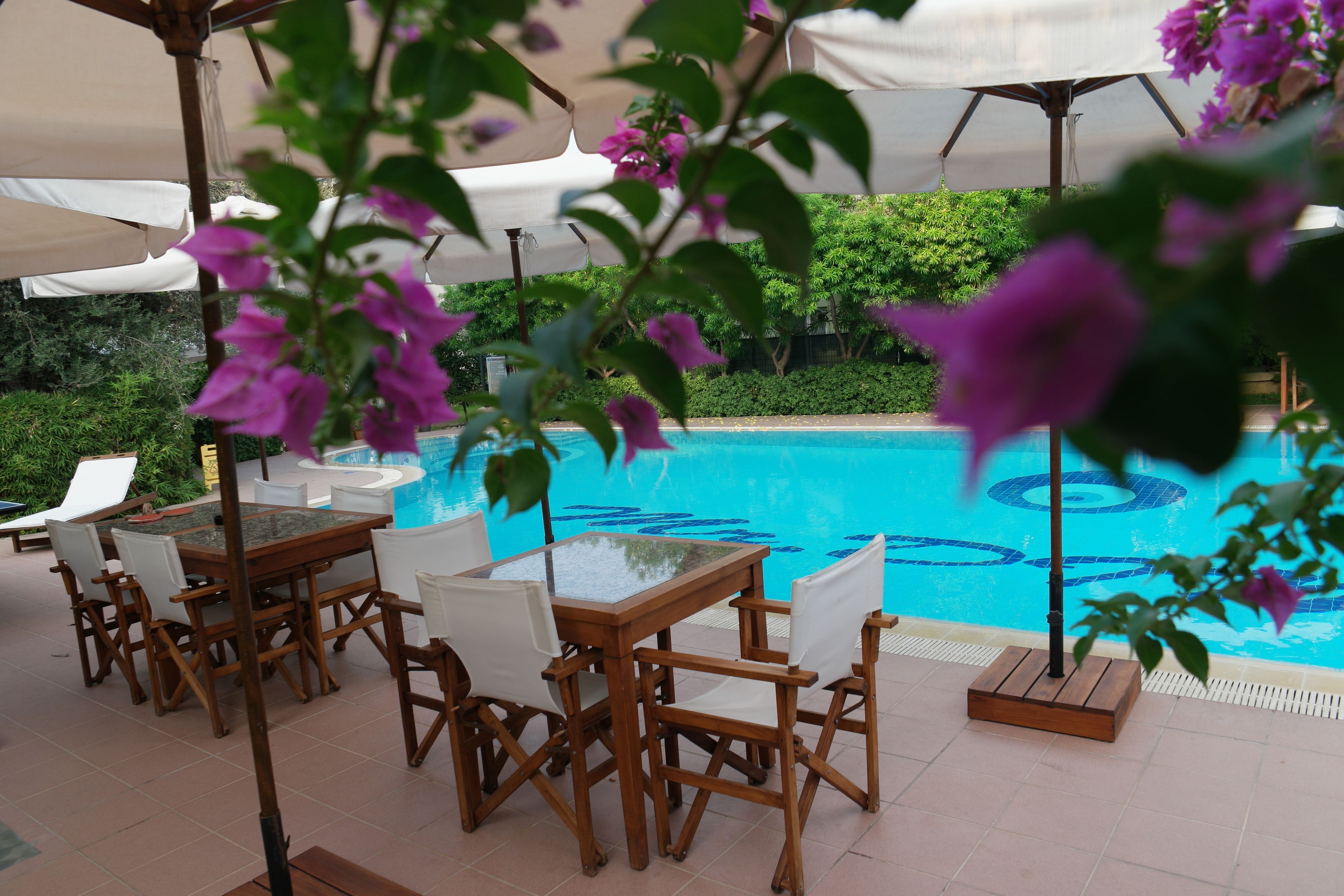 Uma área à beira da piscina com mesa e cadeiras de madeira, rodeada por guarda-sóis e vegetação.