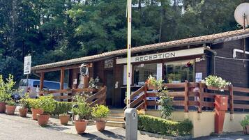 Un área de recepción con fachada de madera, plantas en macetas y una antena parabólica.