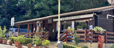 A reception area with a wooden facade, potted plants, and a satellite dish.