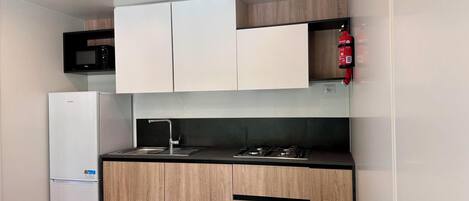 A compact kitchen with a refrigerator, microwave, sink, and stove.