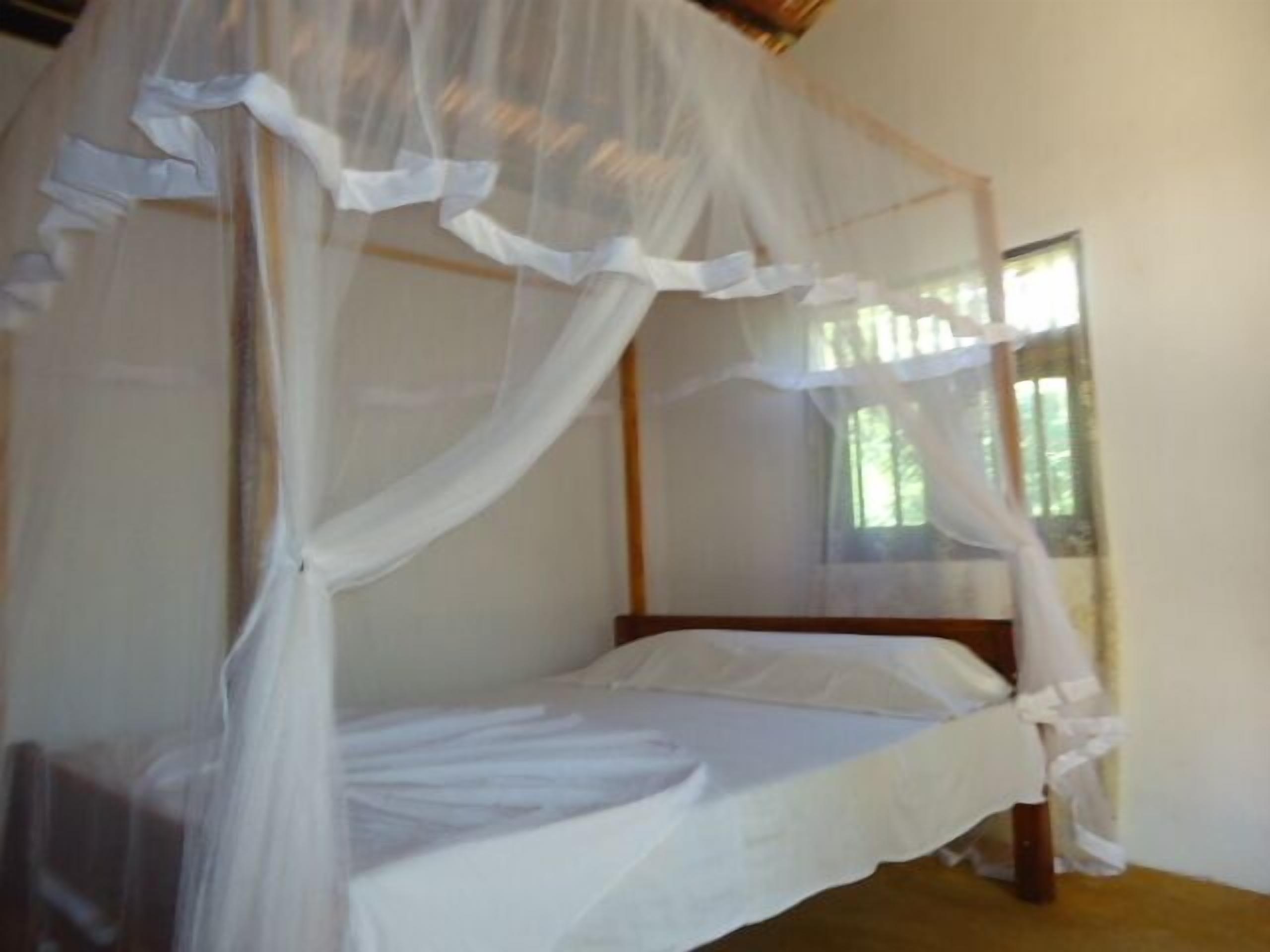 Basic Double Room, 1 Katil Kelamin (Double), Ocean View, Beachside | Pemandangan dari bilik