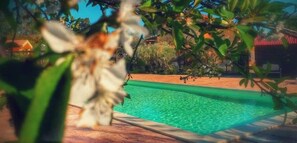 Seasonal outdoor pool, pool umbrellas, sun loungers