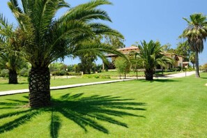 Jardí
