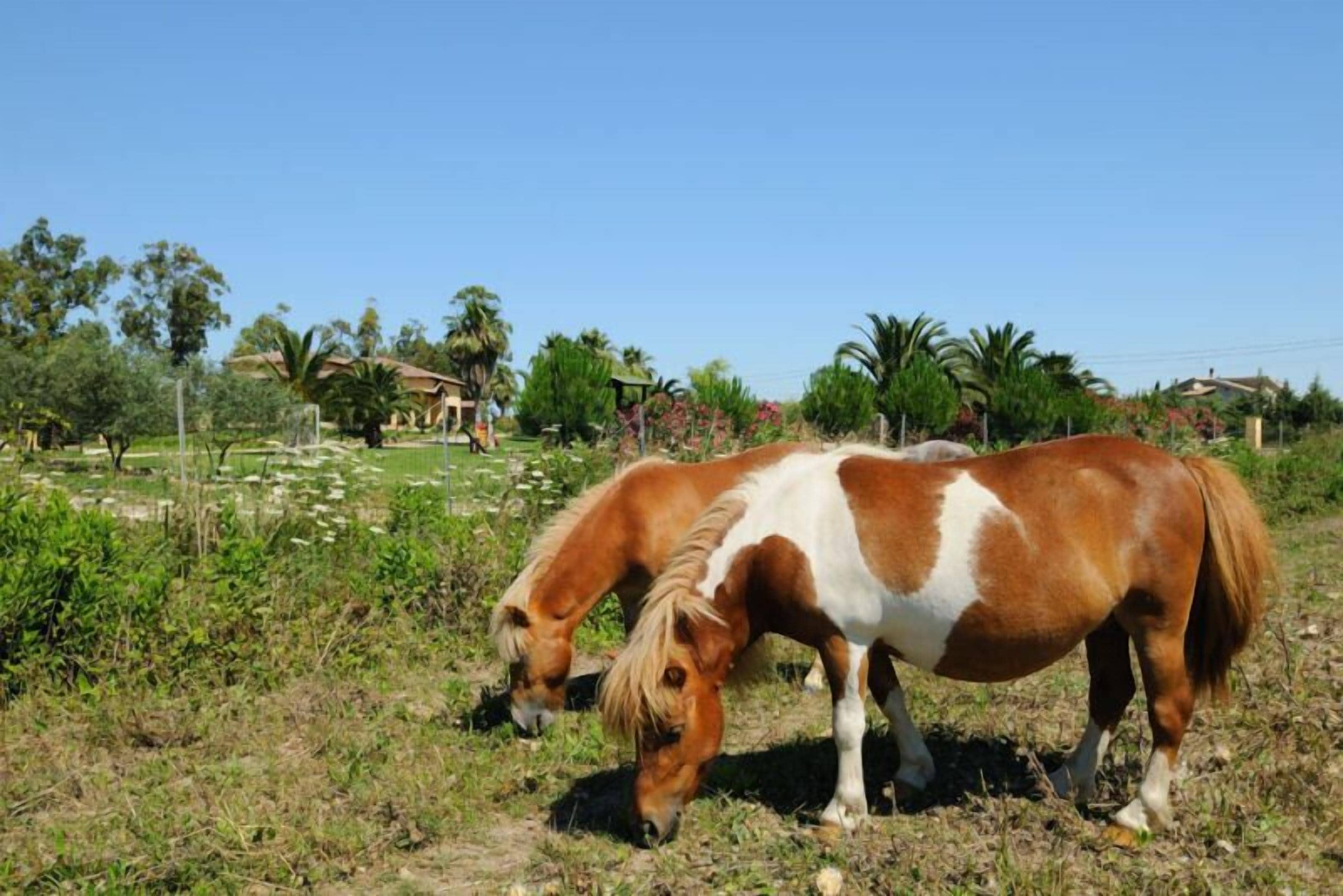 Photo - Agriturismo I Vigneti
