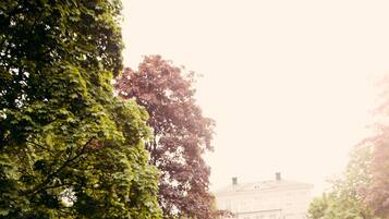 Área da propriedade