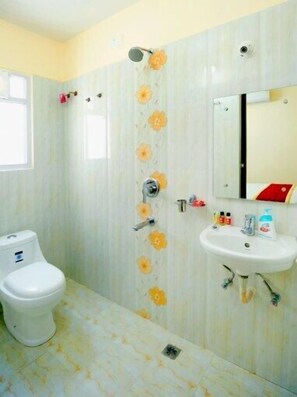Free toiletries, hair dryer, slippers, towels