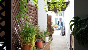 A narrow wooden pathway flanked by potted plants and a wooden fence. - Rio Hotel (Kos)
