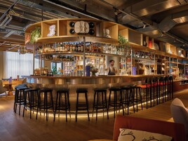 Eine Bar mit einer gebogenen Theke, mehreren Regalen mit Flaschen und Barhocker.