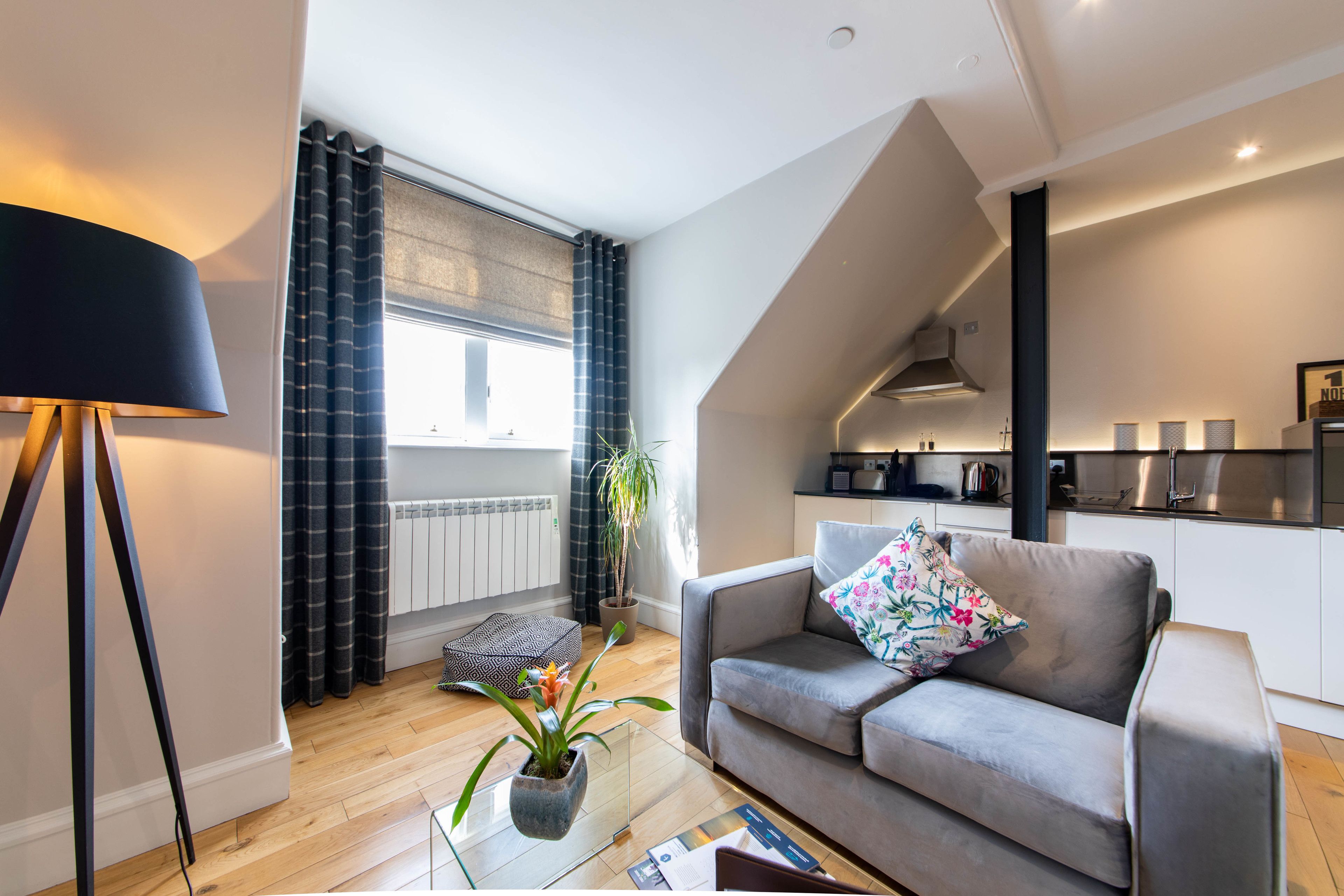 A modern living room with a grey sofa, a floor lamp, and a potted plant.