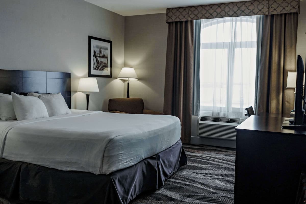 room, 1 king bed, non smoking | egyptian cotton sheets, premium bedding, in-room safe, blackout curtains