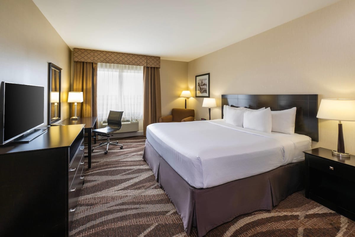 Studio Suite, 1 King Bed with Sofa bed, Non Smoking