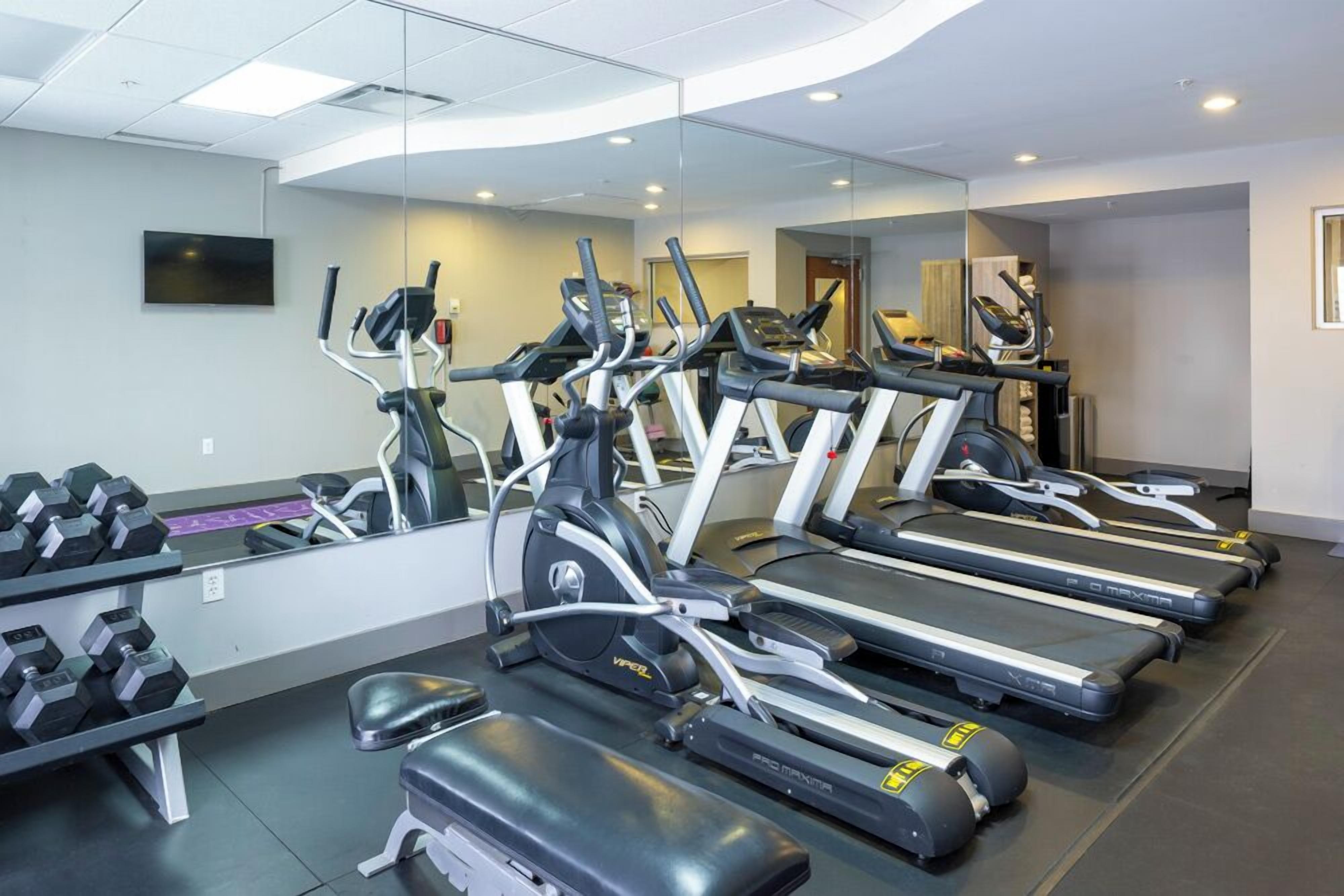 A gym with treadmills, elliptical machines, and dumbbells.