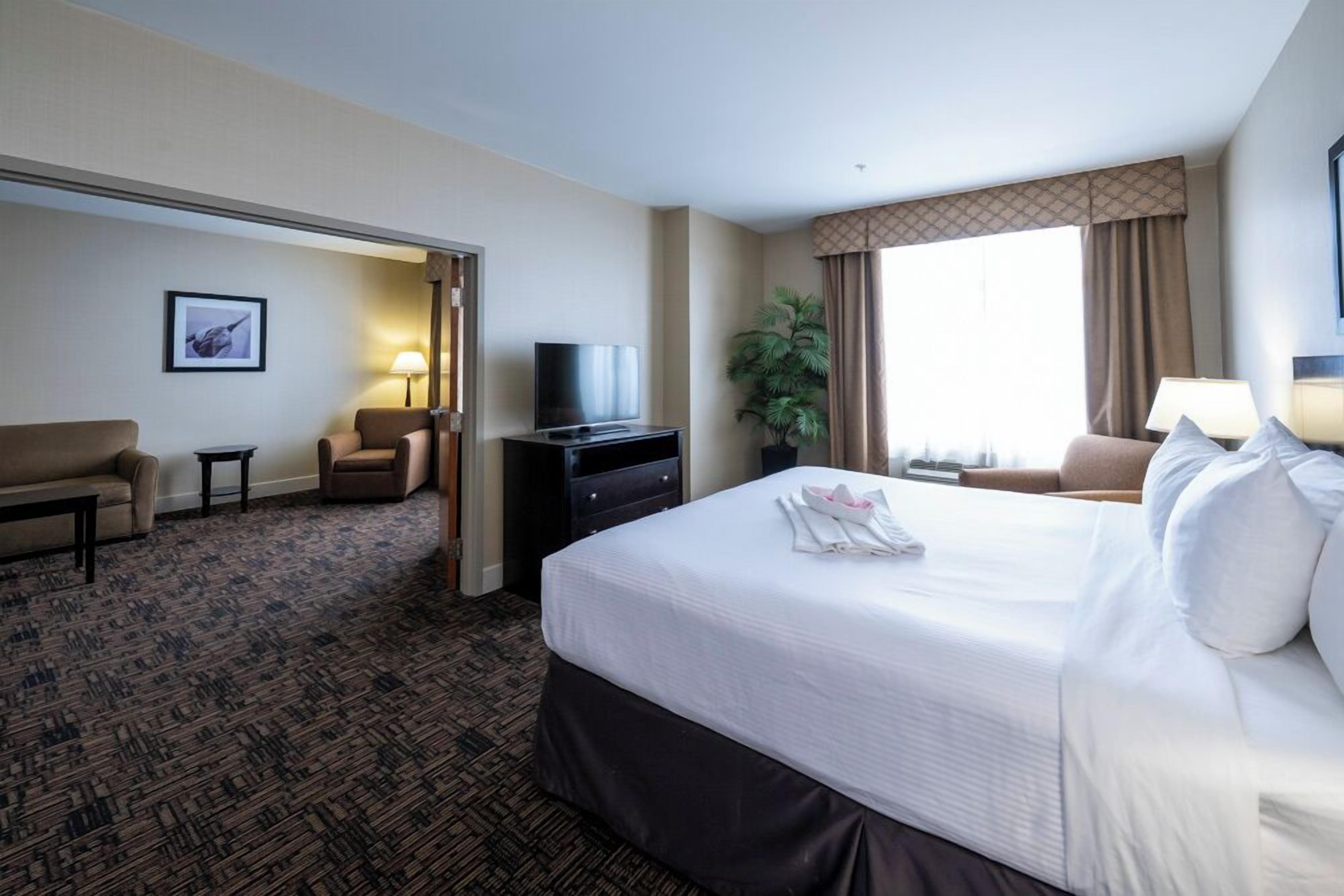 A hotel room with a bed, a TV, a desk, a chair, a sofa, and a plant.