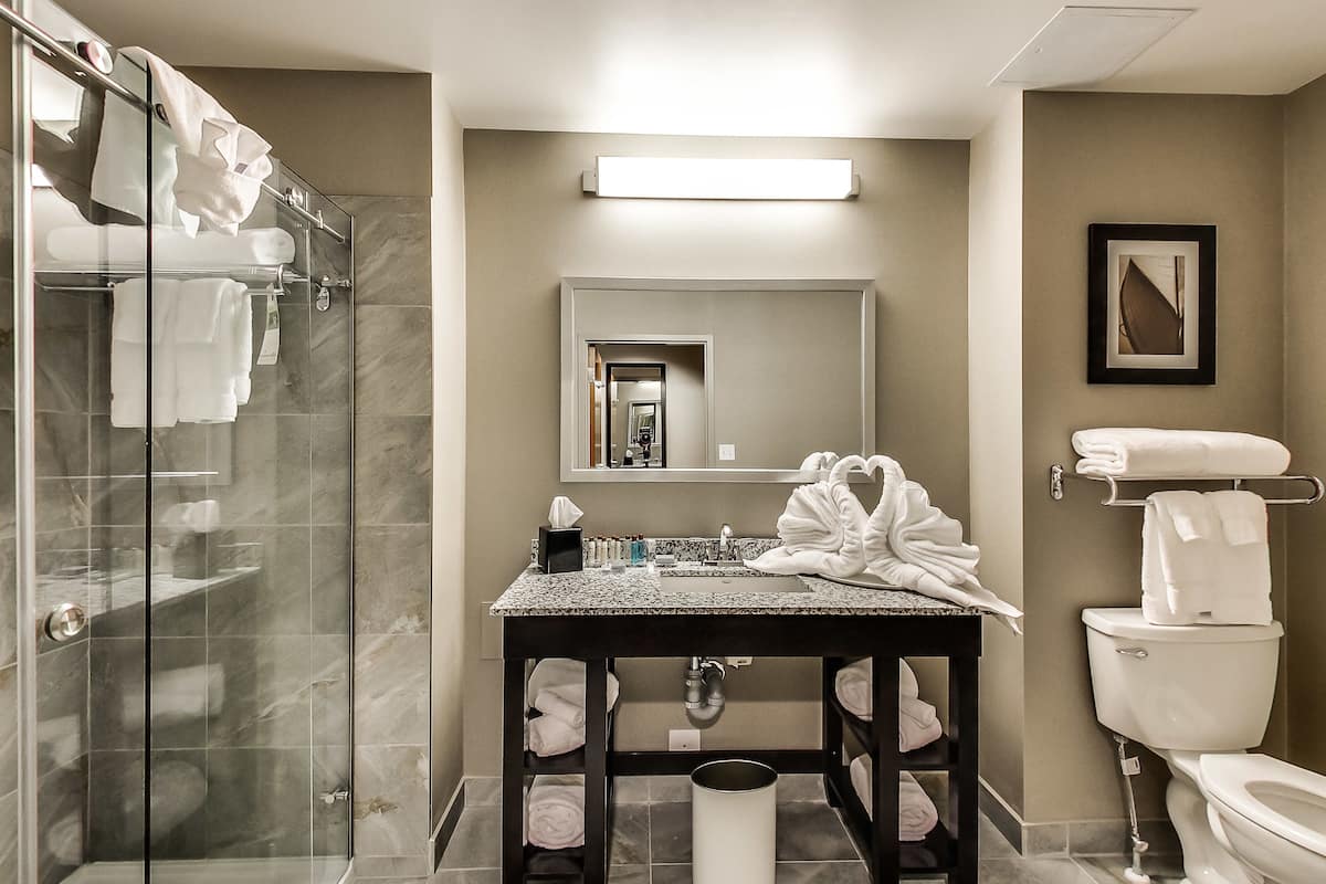 free toiletries, hair dryer, towels