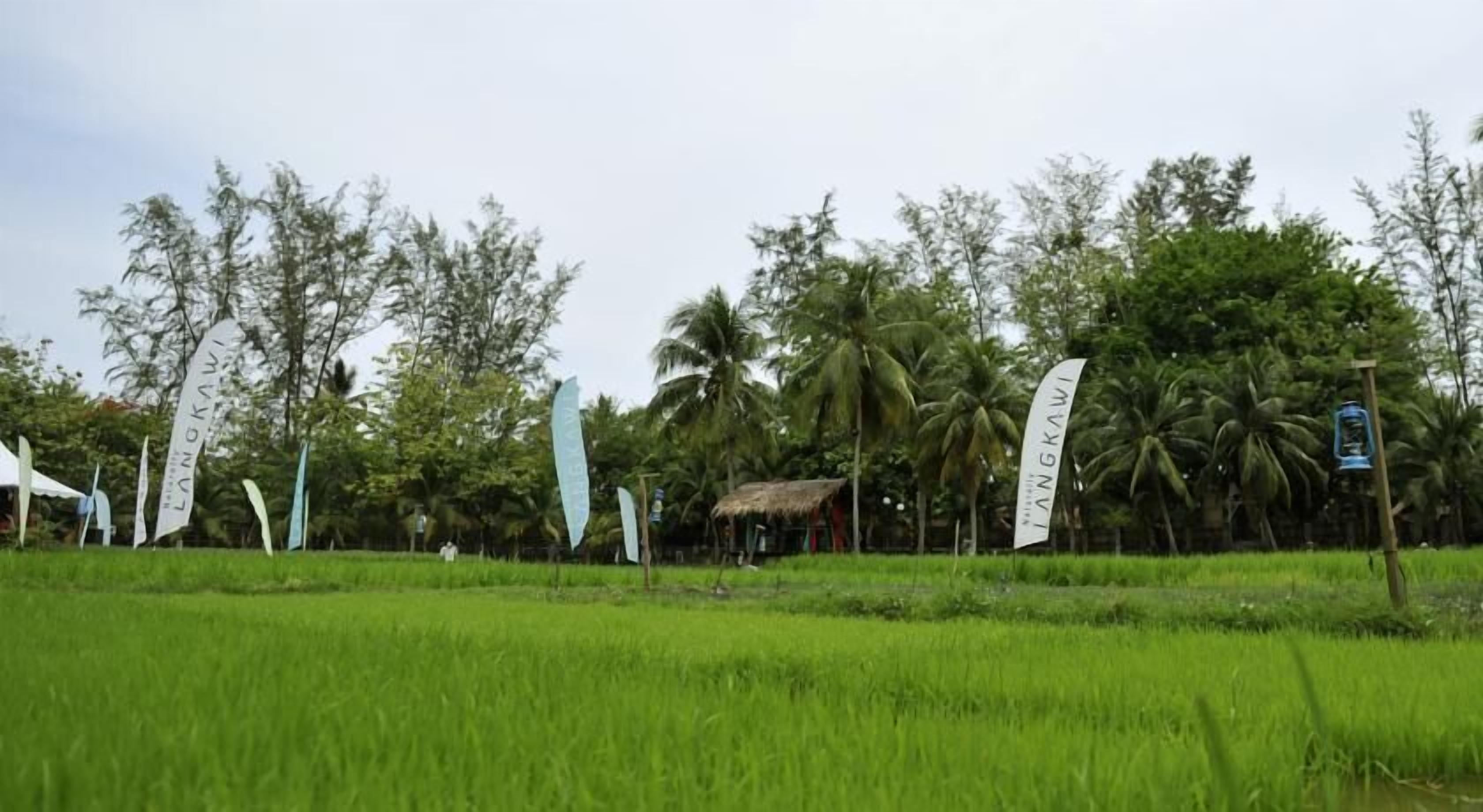 Photo - The Gemalai Village