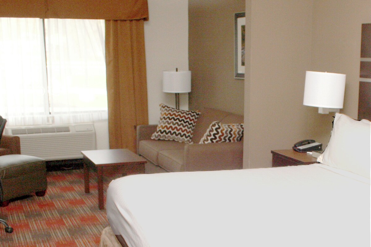 A hotel room with a bed, a desk, a chair, a sofa, and a lamp.