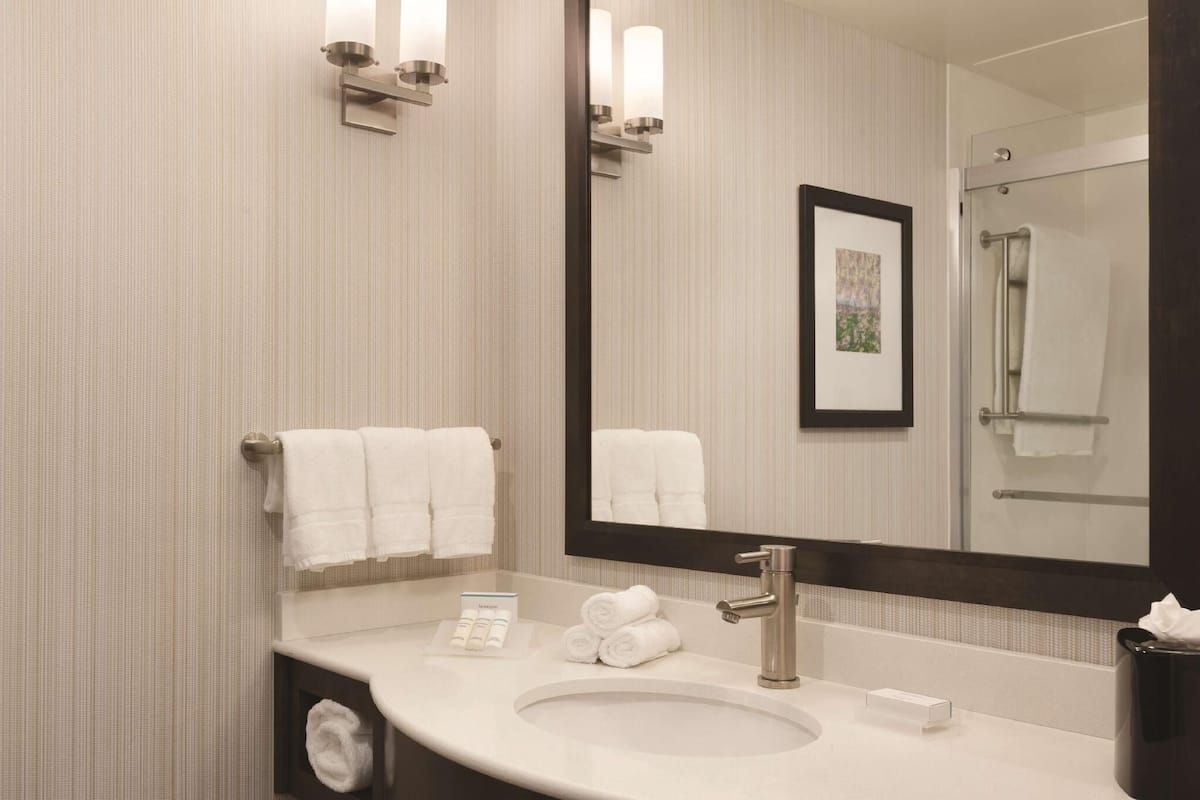 Bathroom | Combined shower/tub, free toiletries, hair dryer, towels