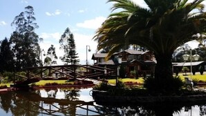 Une maison avec un pont enjambant un étang, entourée d’arbres et sous un ciel dégagé.