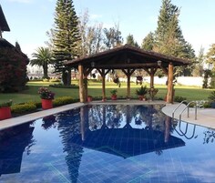 A swimming pool with a wooden gazebo, surrounded by potted plants and trees.