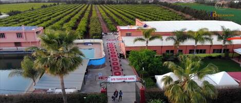 Vista de un viñedo con filas de vid, una piscina y un edificio con techo rojo.