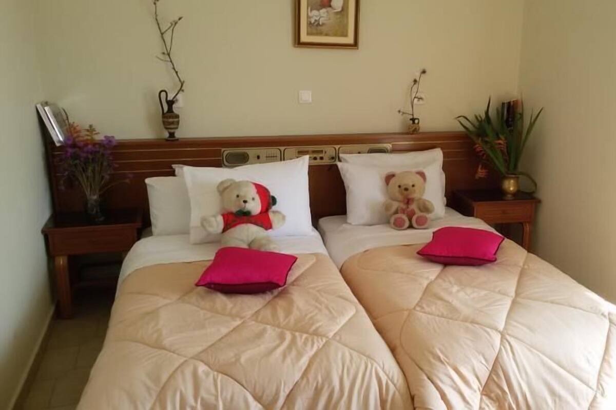Iron/ironing board (on request), cribs (free), WiFi (free), bed sheets