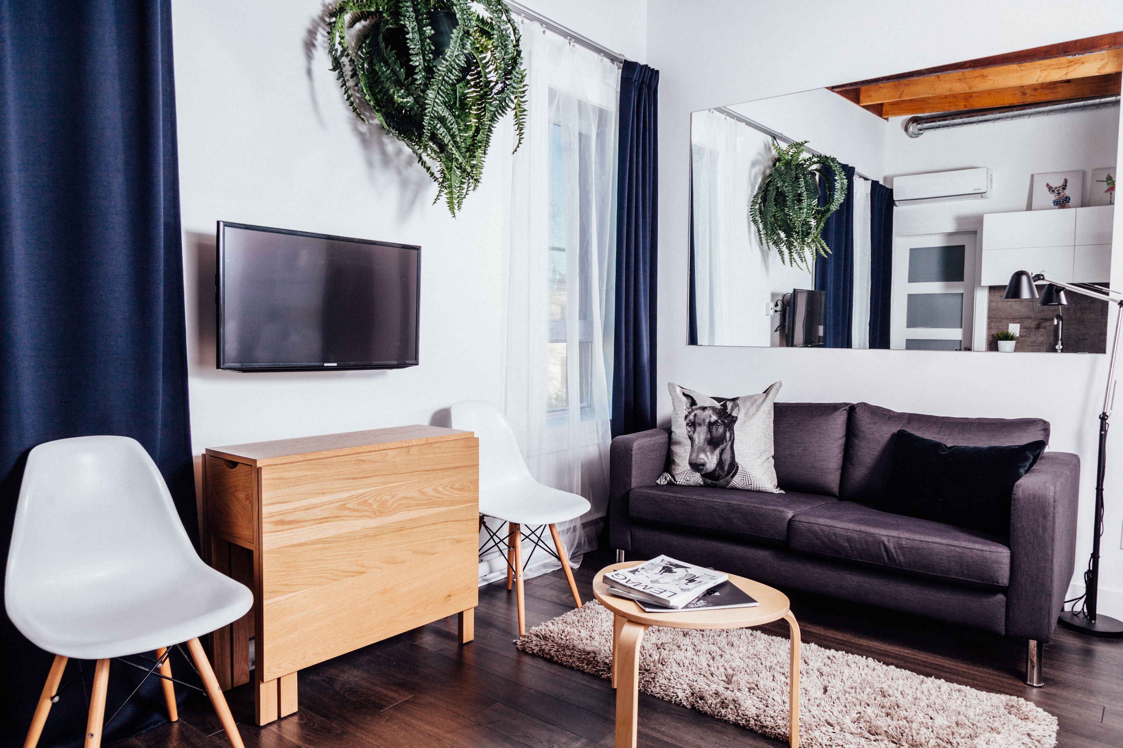 classic apartment | living area | flat-screen tv