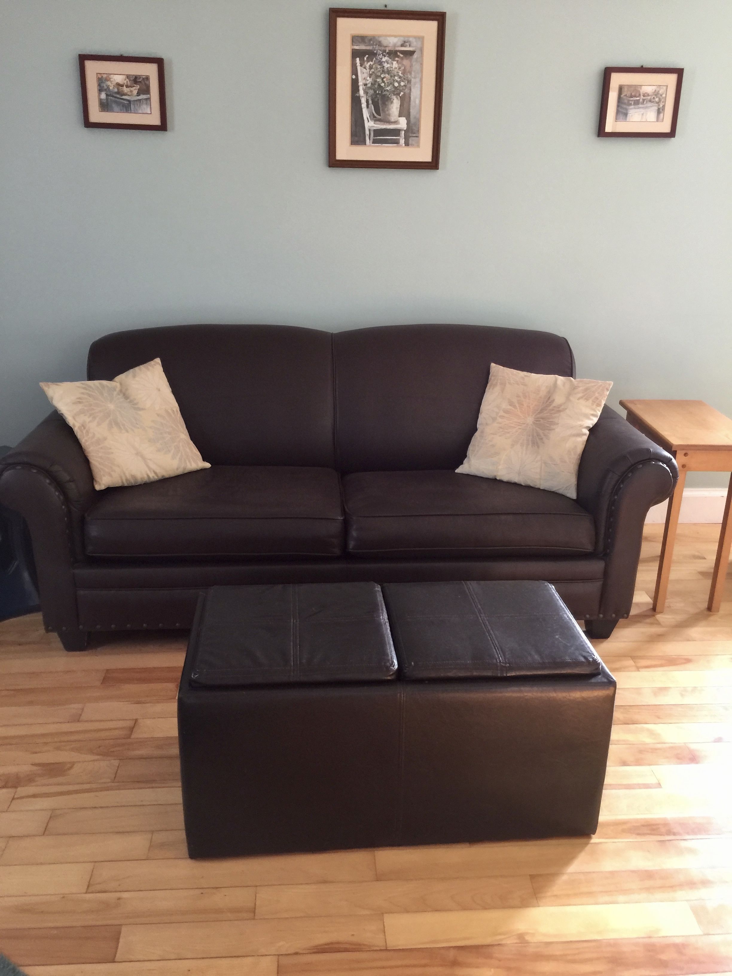 A dark brown sofa with two matching cushions, a wooden coffee table, and a framed picture on the wall.