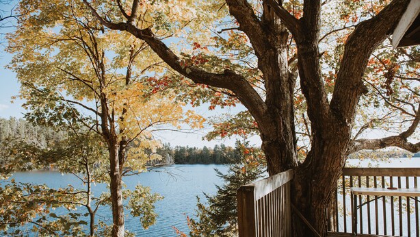 A wooden deck overlooking a lake with autumn foliage. - Lang Lake Resort (Unorganized North Sudbury)