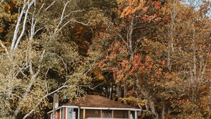A cabin by a lake surrounded by autumn foliage. - Lang Lake Resort (Unorganized North Sudbury)